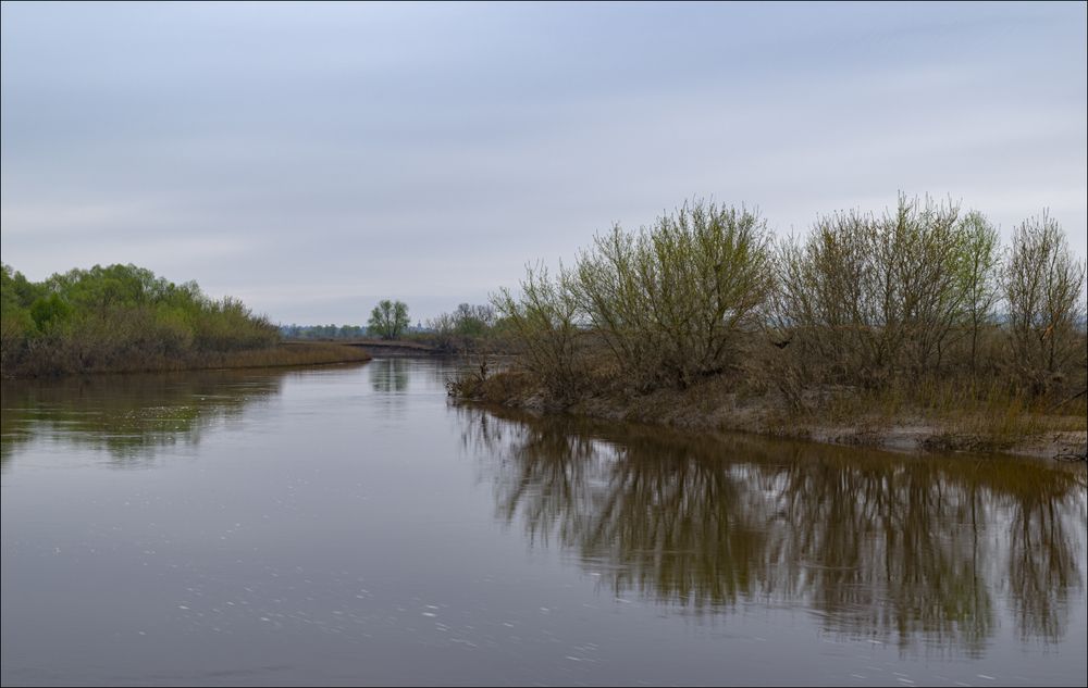 Серое утро. Вода ещё выше нормы.