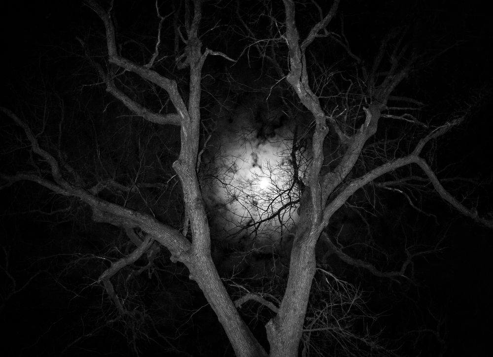 Photo 2859159