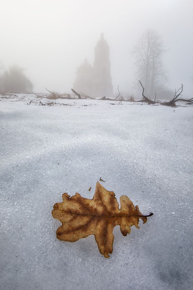 Ранневесенняя