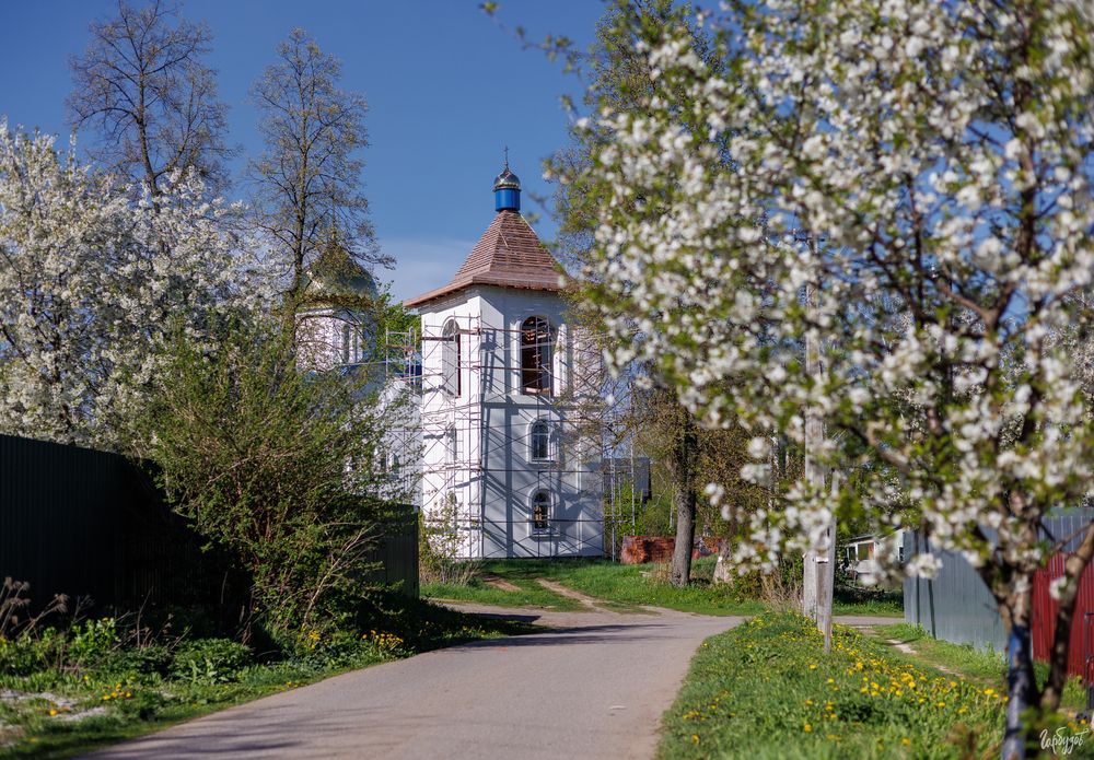 Храм \"Всецарица\". Ломинцевский, Щекинский район.