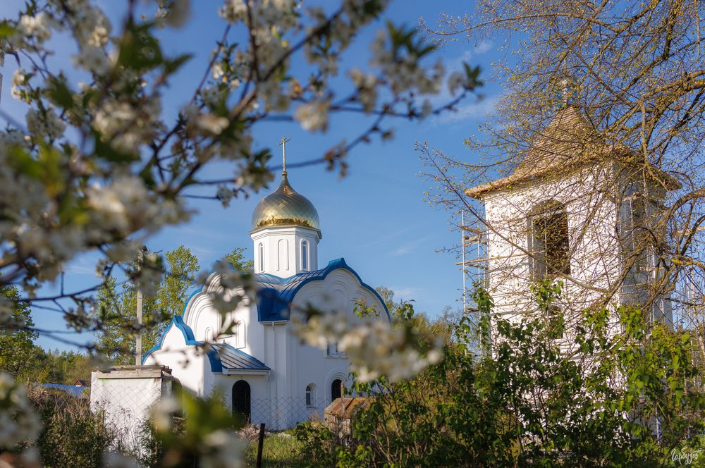 Храм \"Всецарица\". Ломинцевский, Щекинский район.