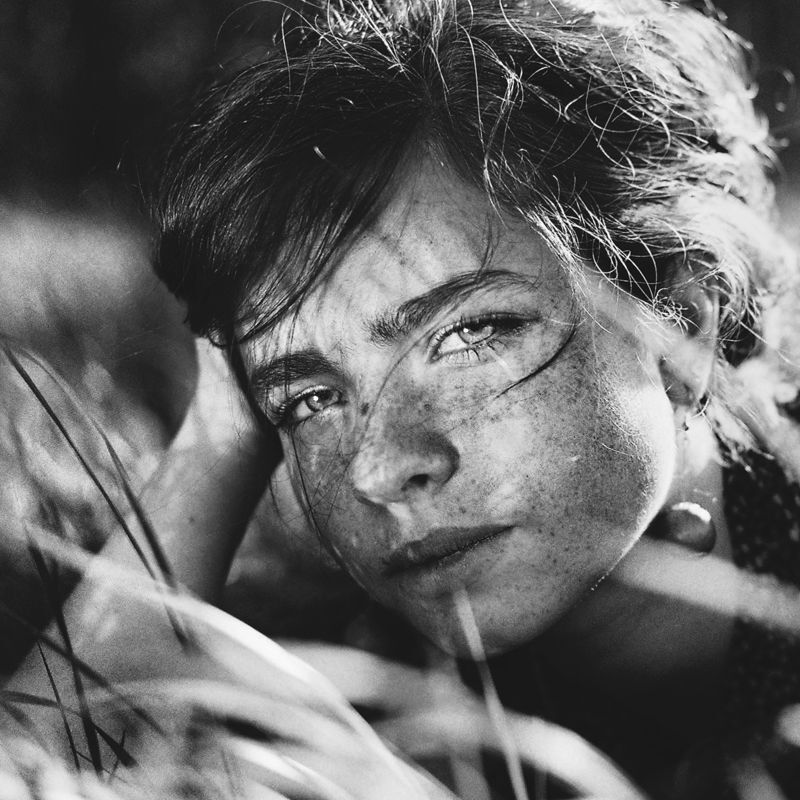 Meadow
