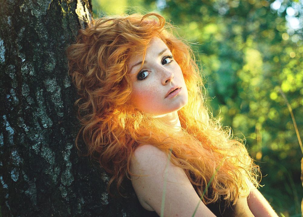 Fairy
