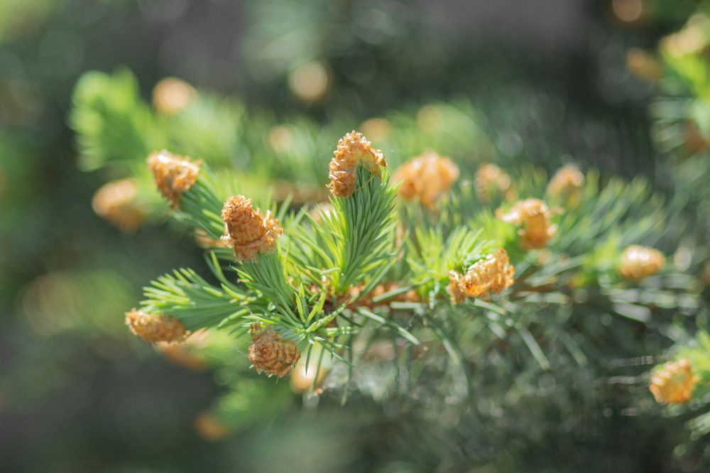Photo 2860557