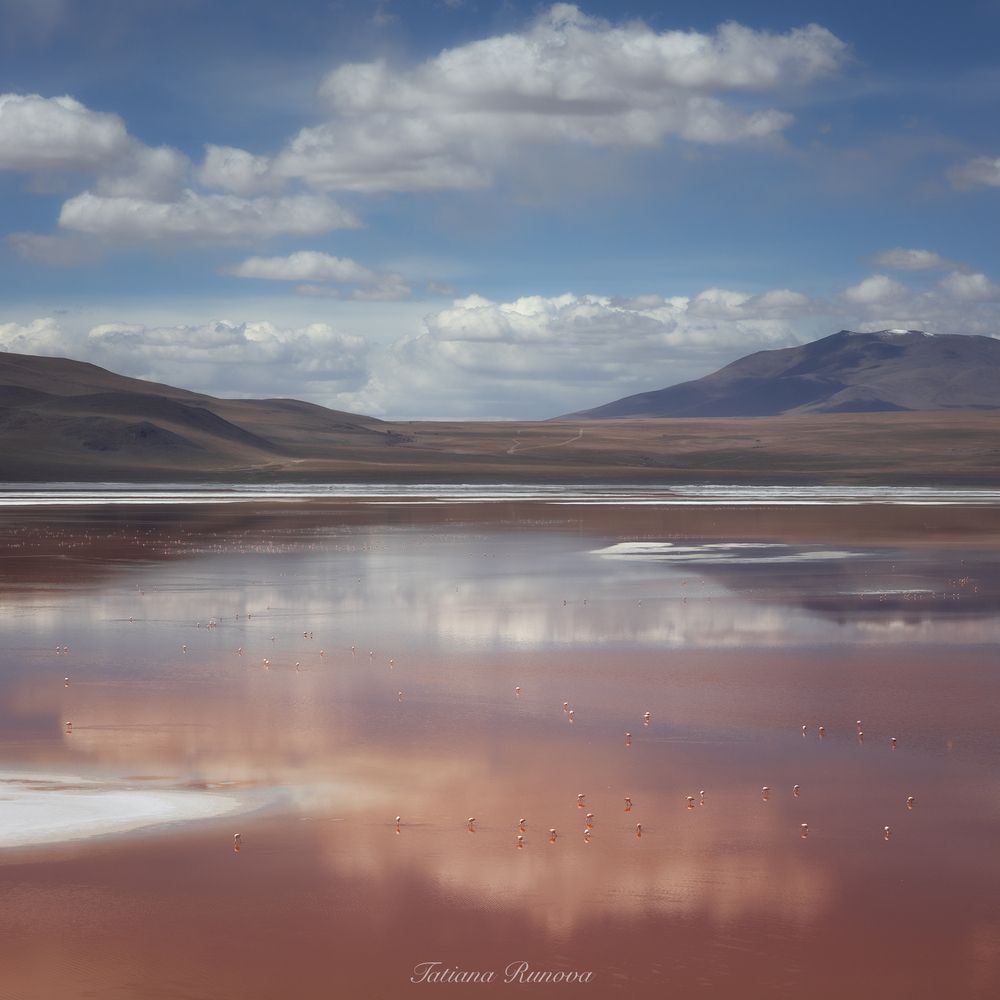 Лагуна Colorada