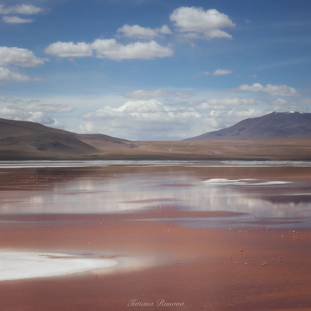 Лагуна Colorada