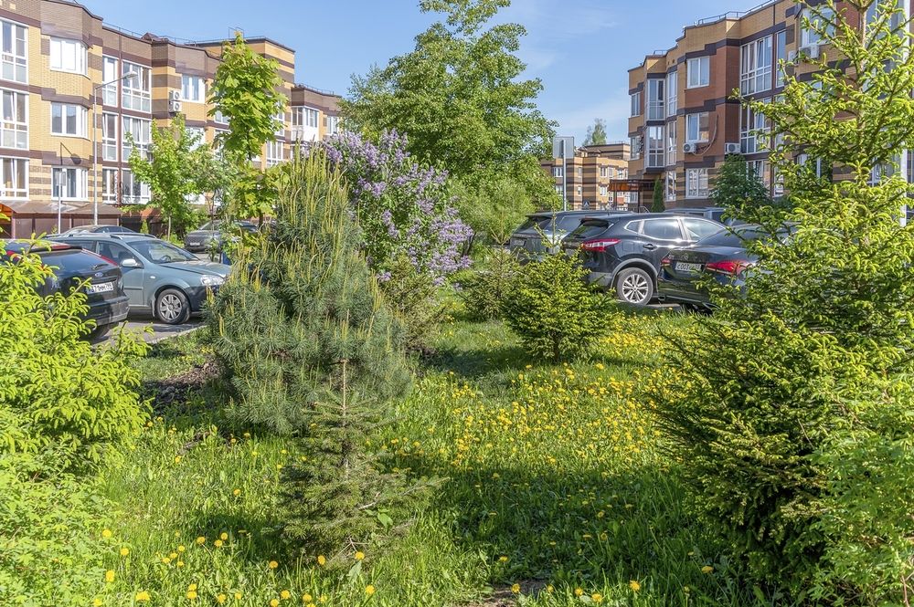 На улице Потаповская роща