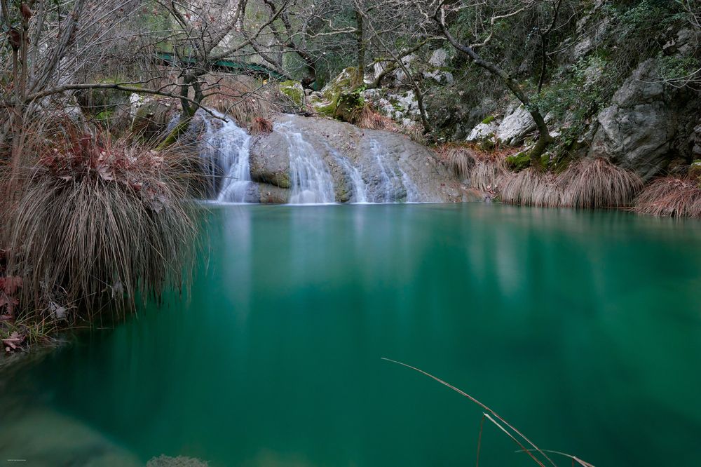 Photo 2865713