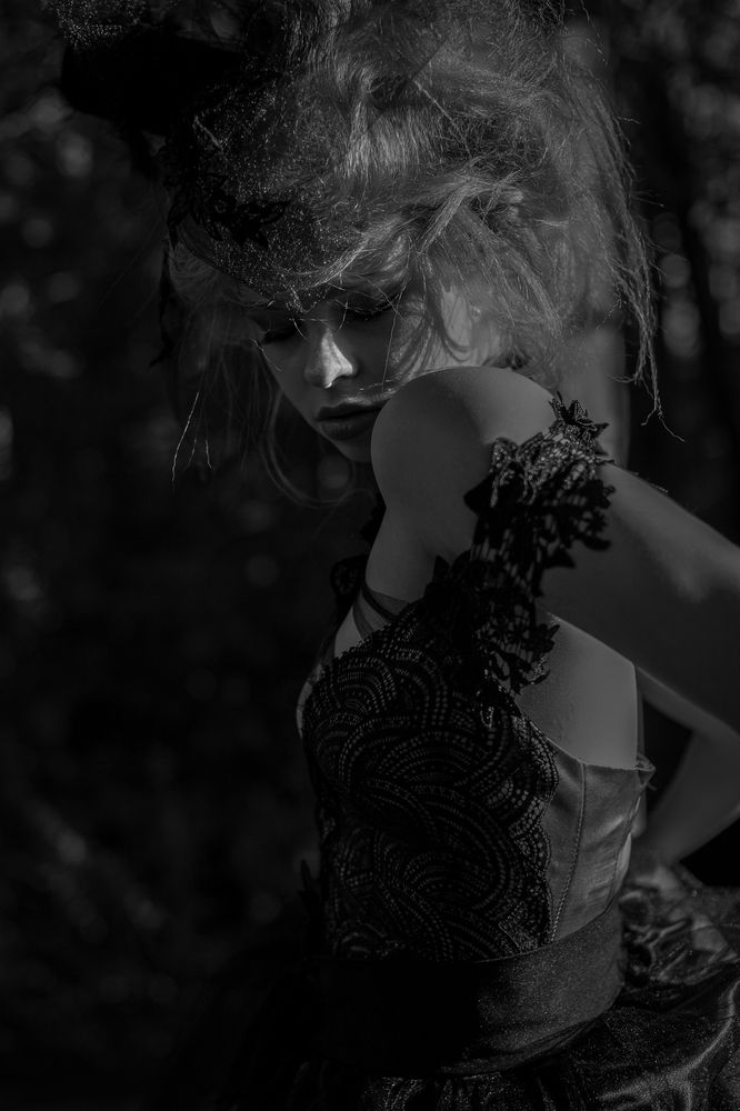 Photo 2865753