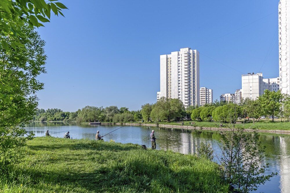 На городском пруду