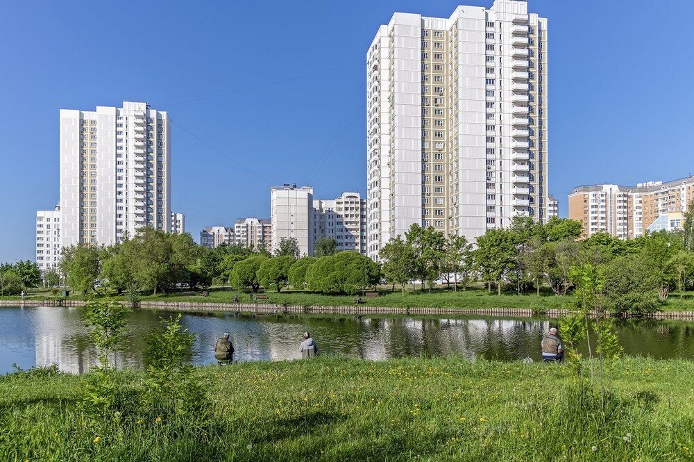 На городском пруду