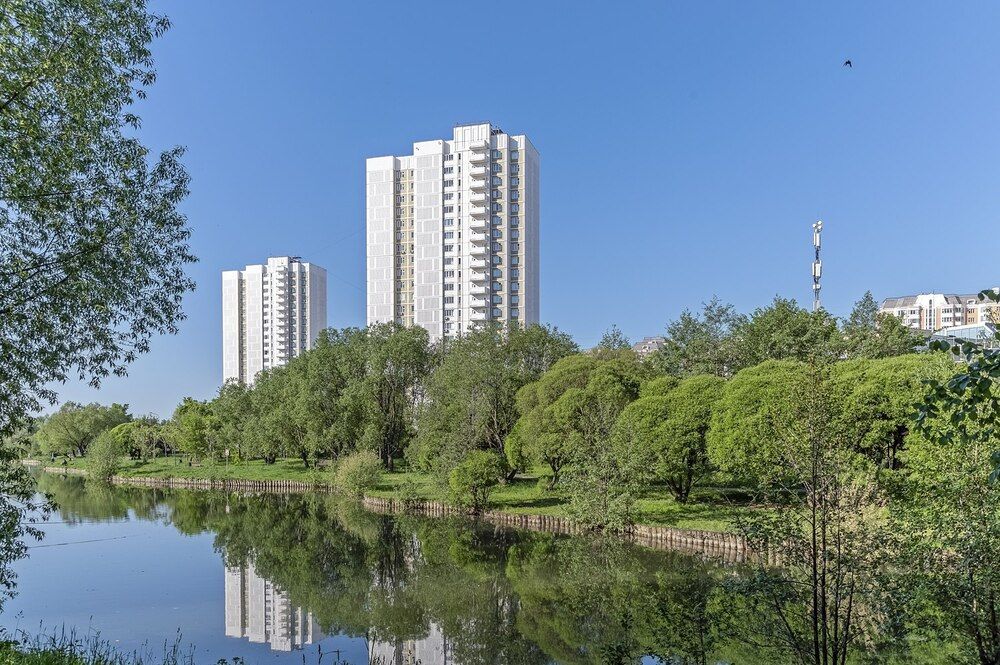 На городском пруду