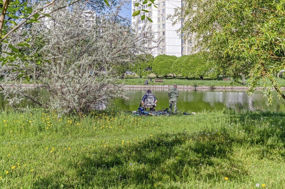 На городском пруду
