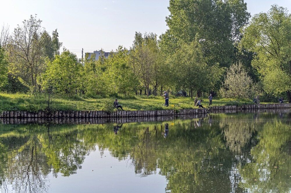 На городском пруду