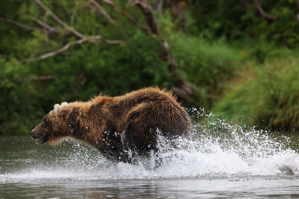 Удачный рыболов.