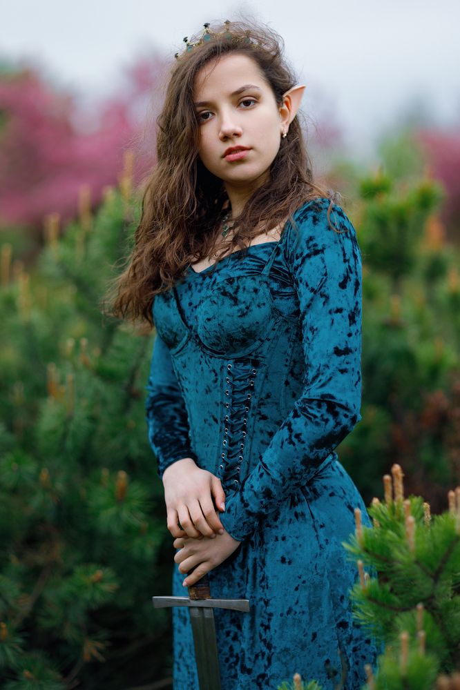 Photo 2866928
