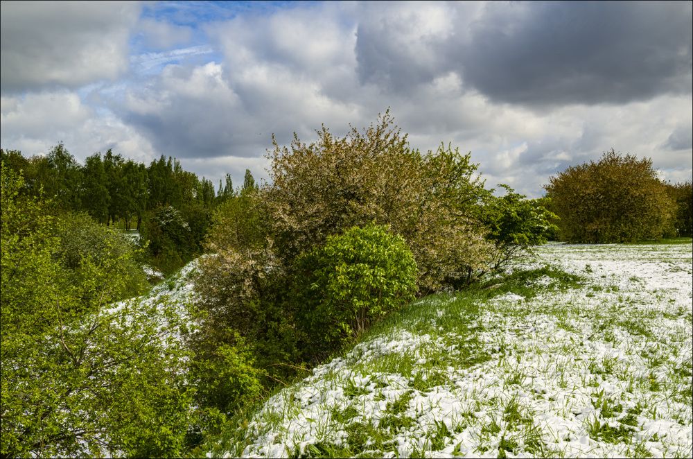 На краю Велесова оврага