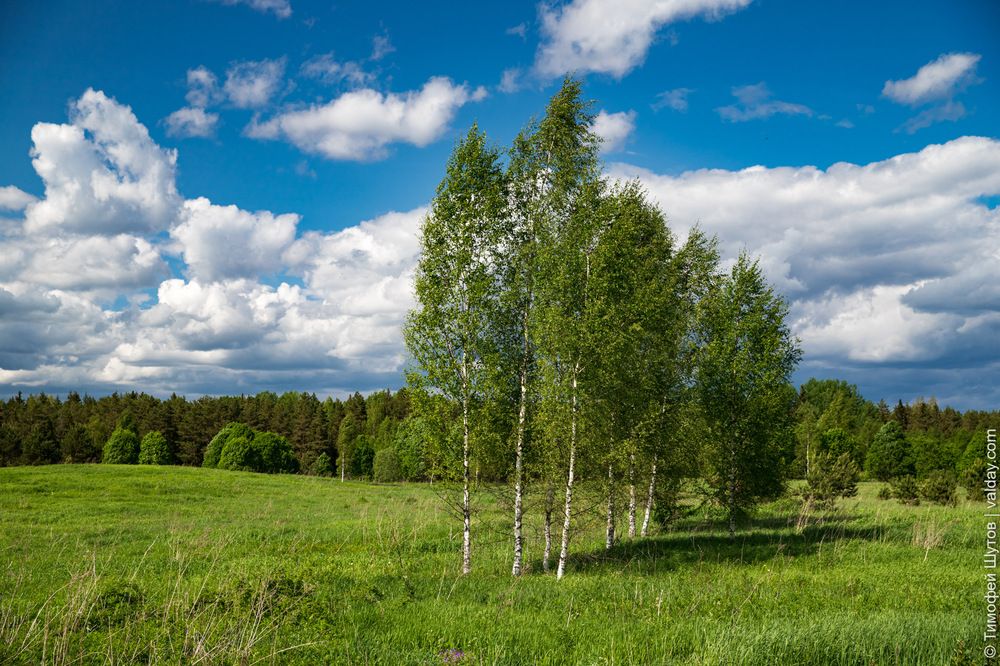 Валдай