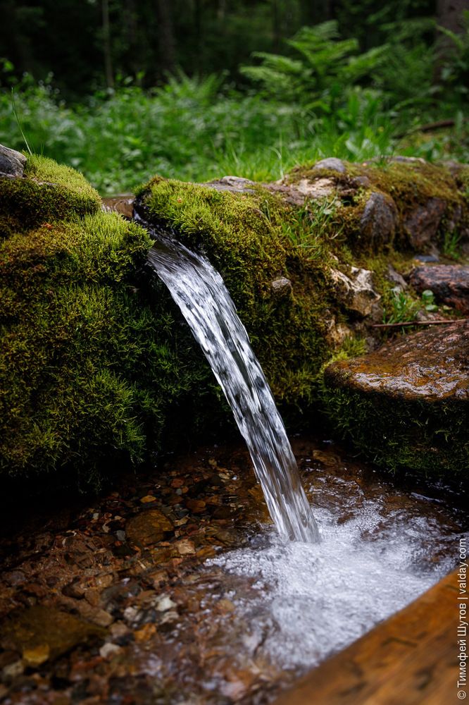 Валдай &mdash; живая вода