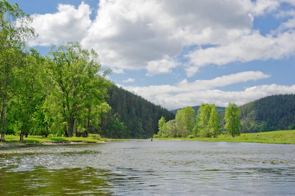 берега реки белой
