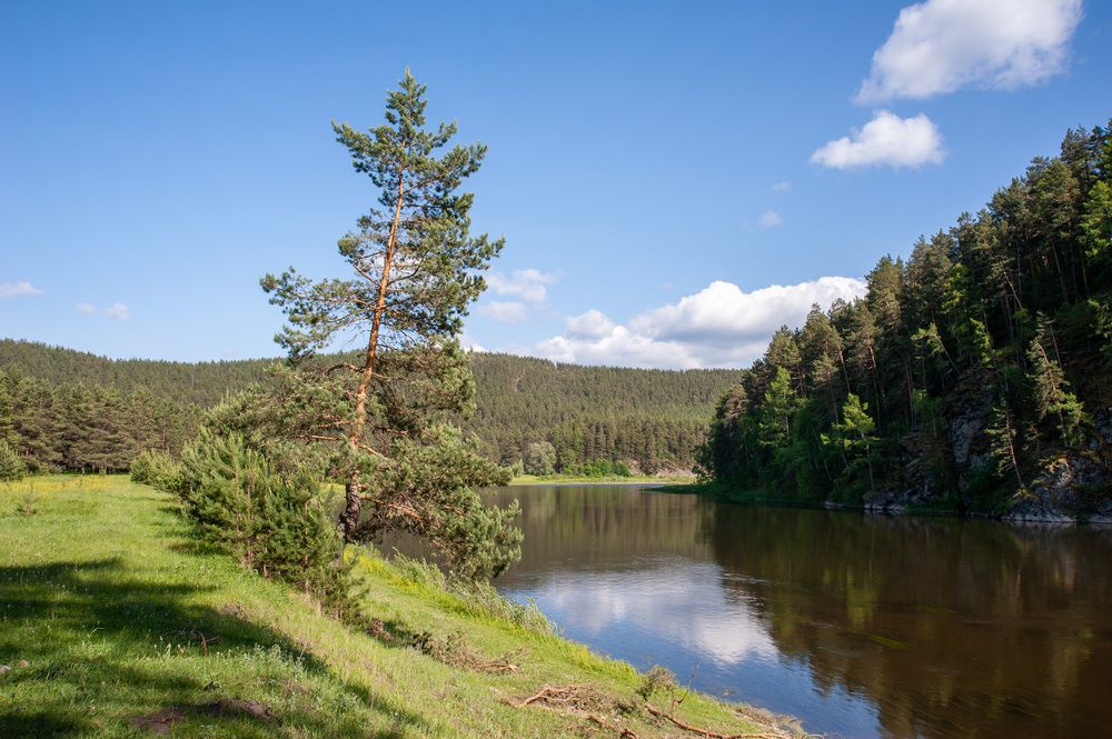 берега реки белой