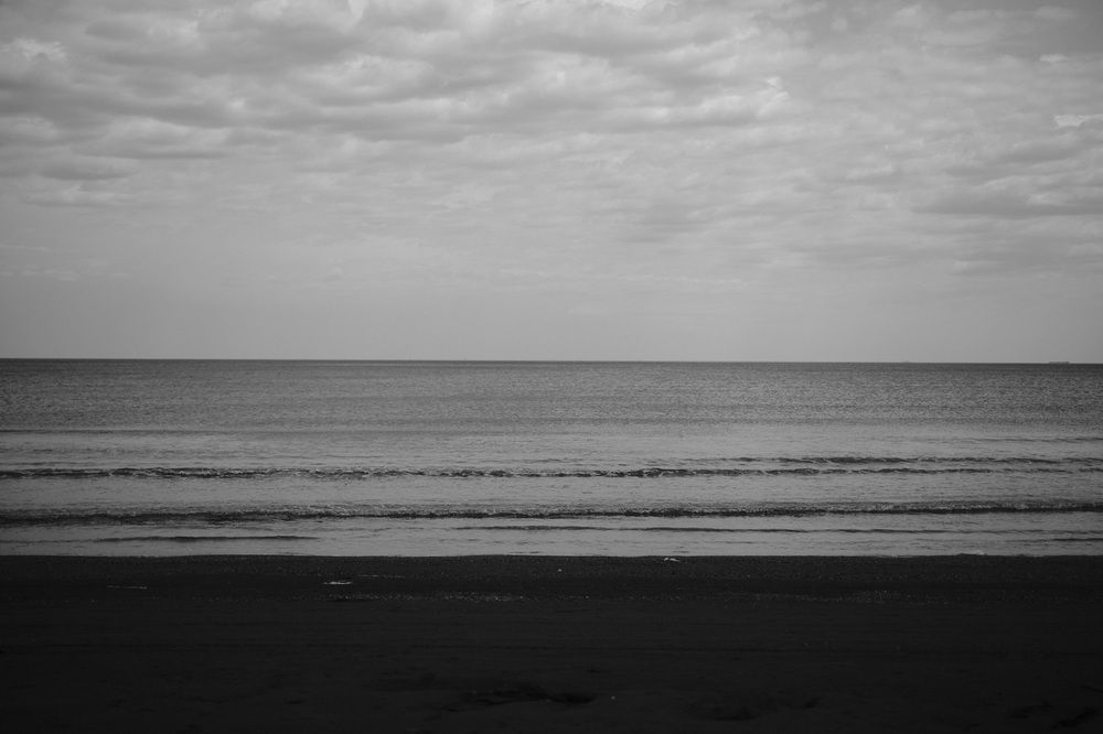 Photo 2869618