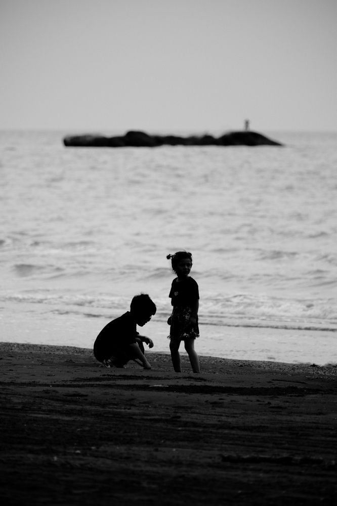 Photo 2869621