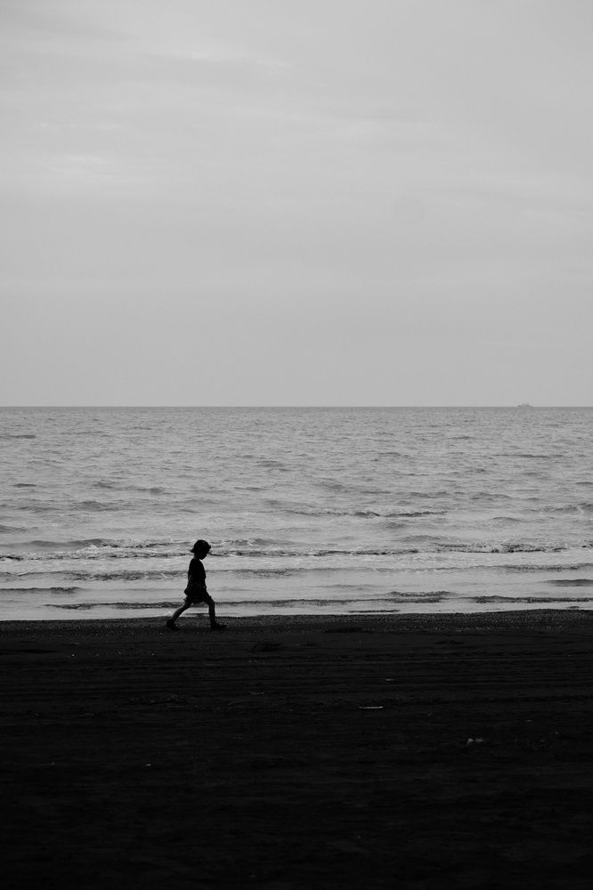 Photo 2869622
