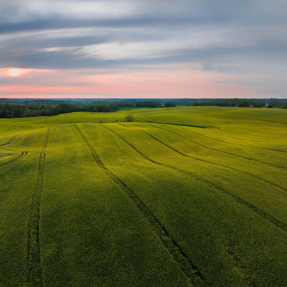 Drabesu, Latvia