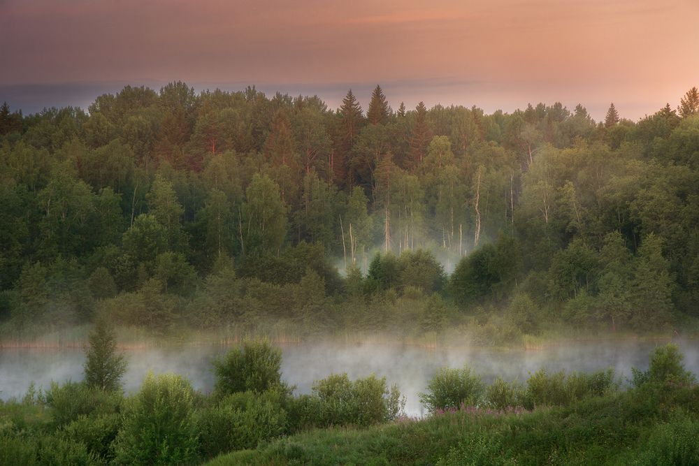 Photo 2872599
