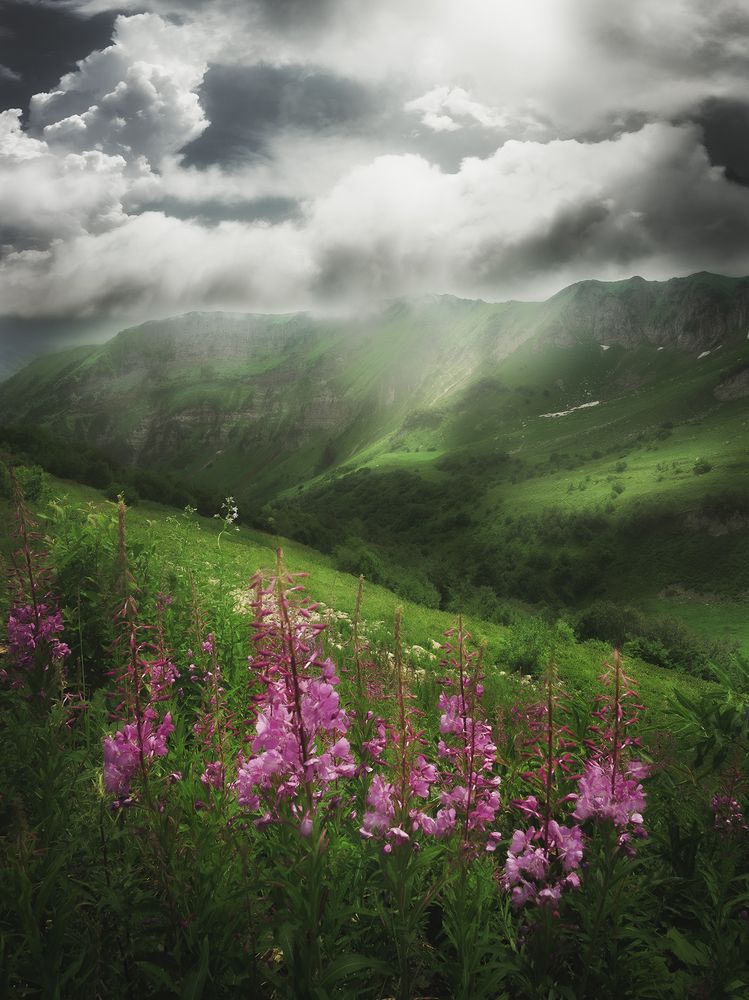 Photo 2872604