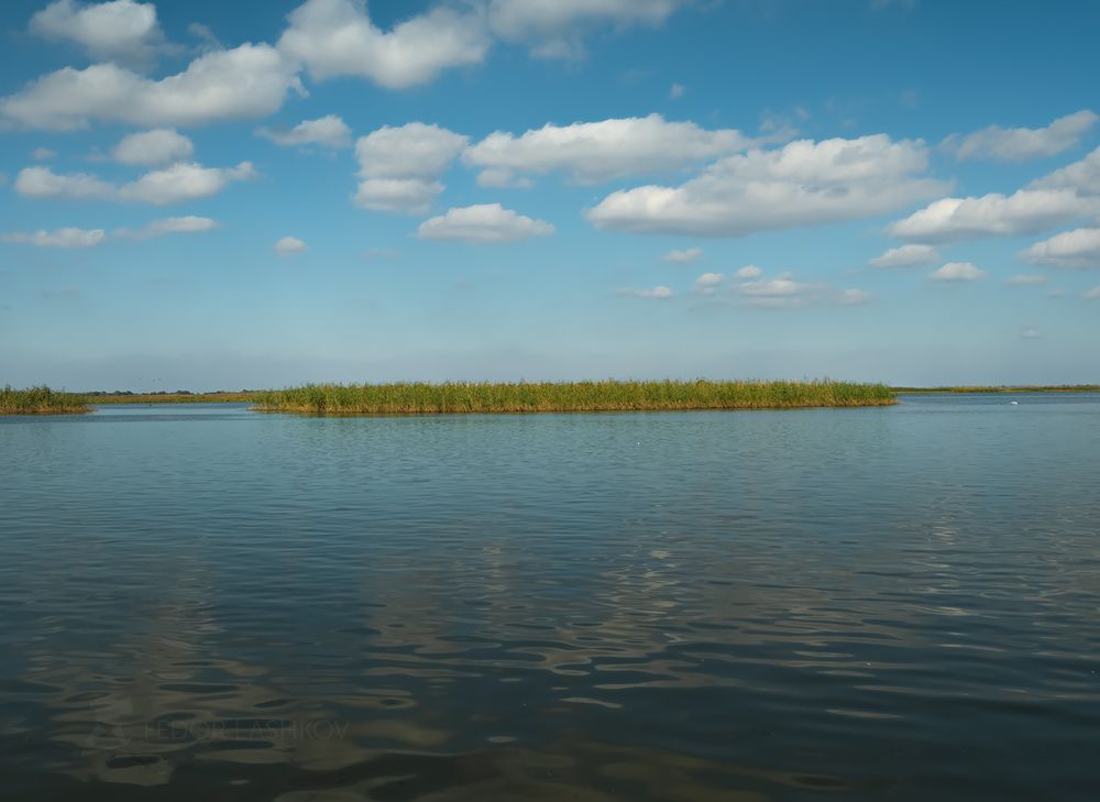 Лето на Волге