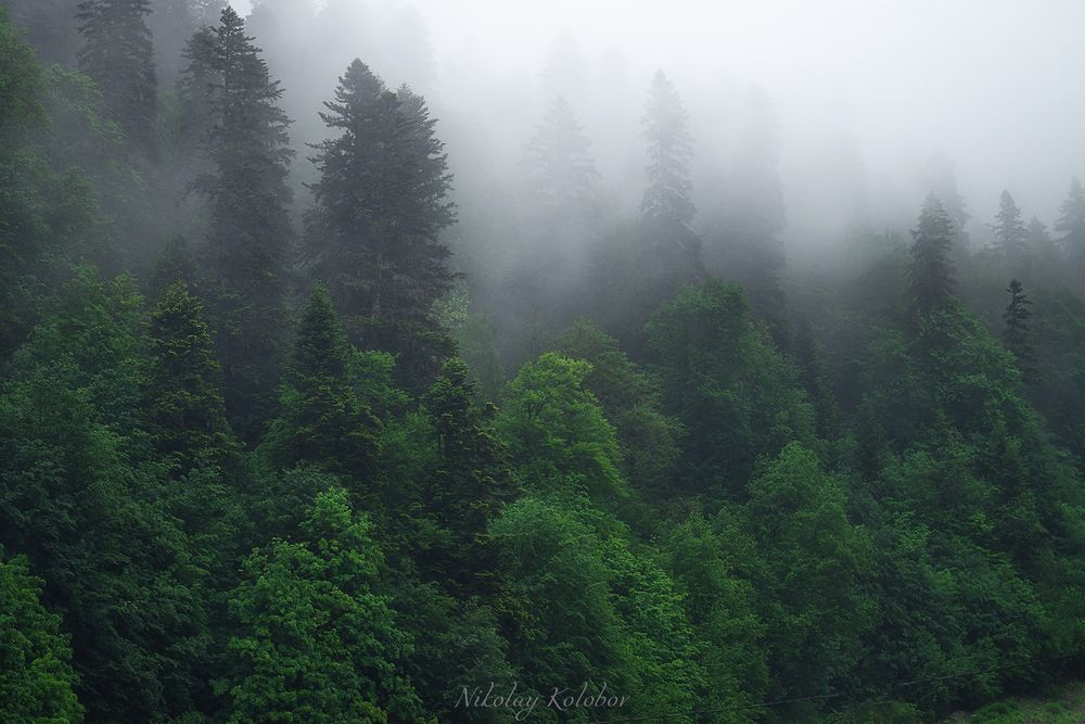 Photo 2875852