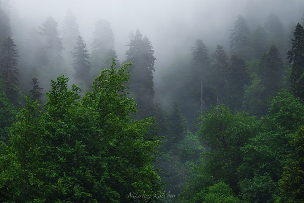 Photo 2875853