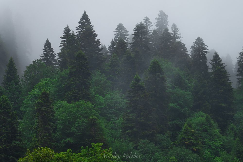 Photo 2875854
