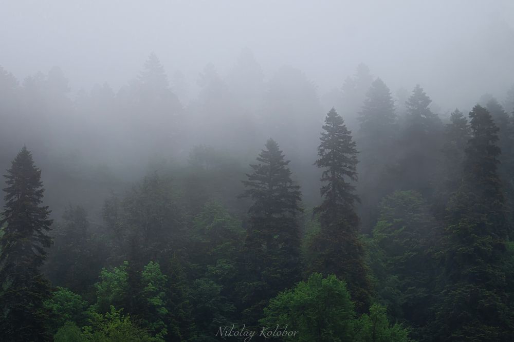 Photo 2875855