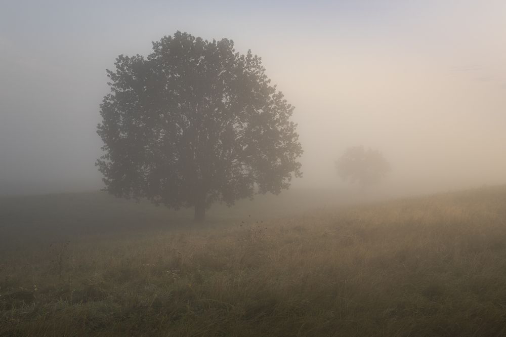 Photo 2876530