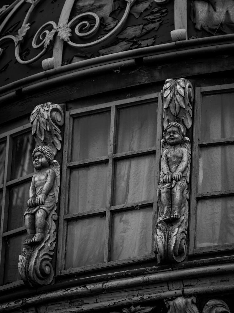 Photo 2878537