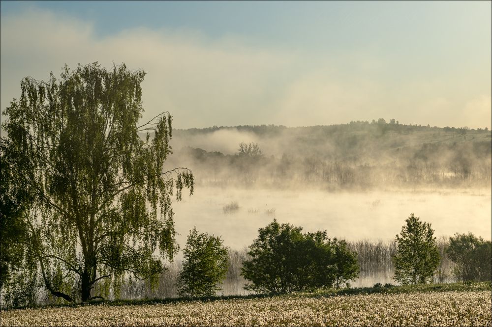 Молоко тумана над водой