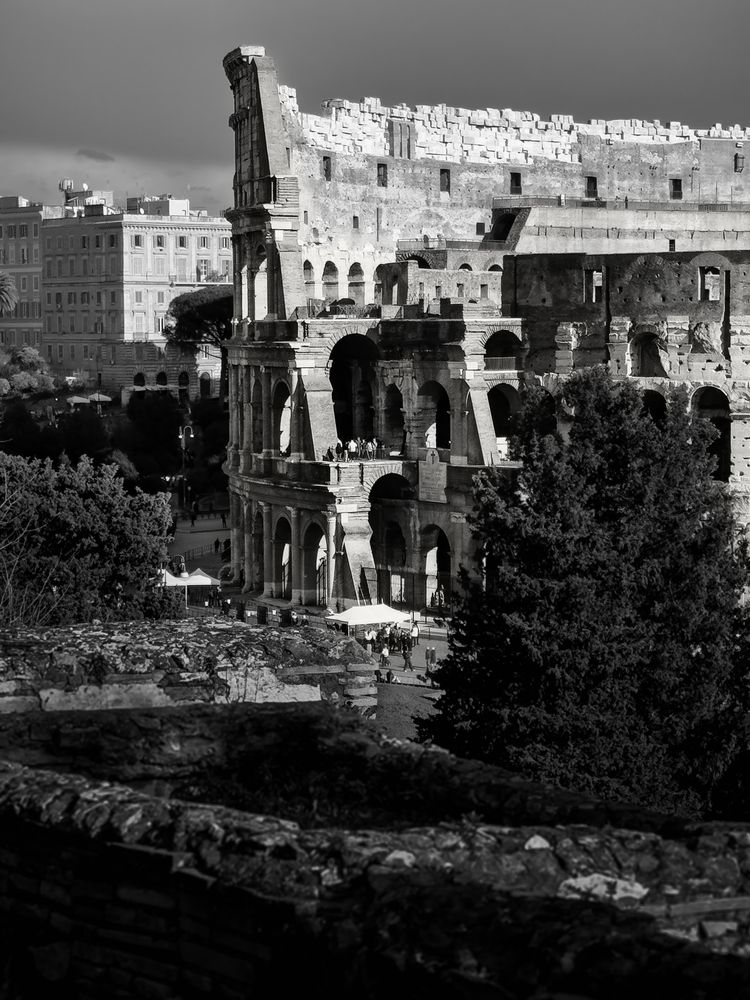 Colosseum8