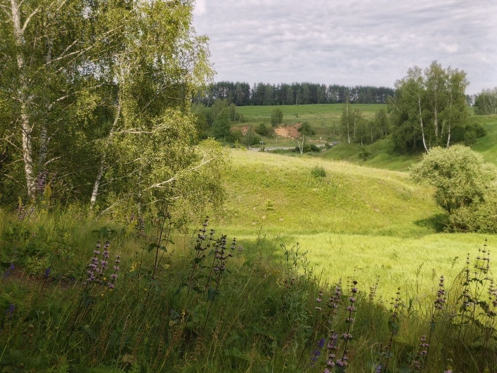 Photo 2879945