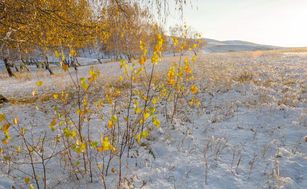первый снег близ Кушеево