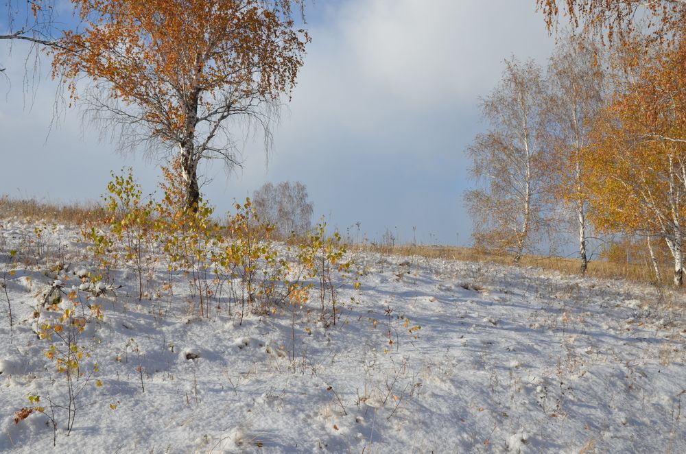 первый снег близ Кушеево