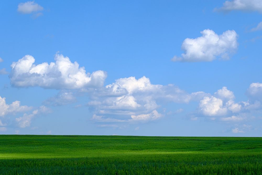 Безмятежность