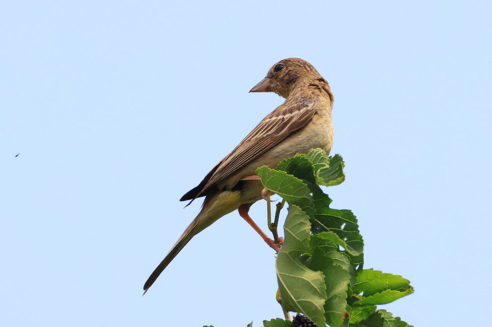Photo 2882315
