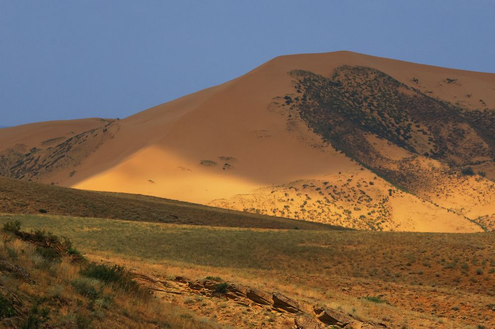 Бархан Сары кум