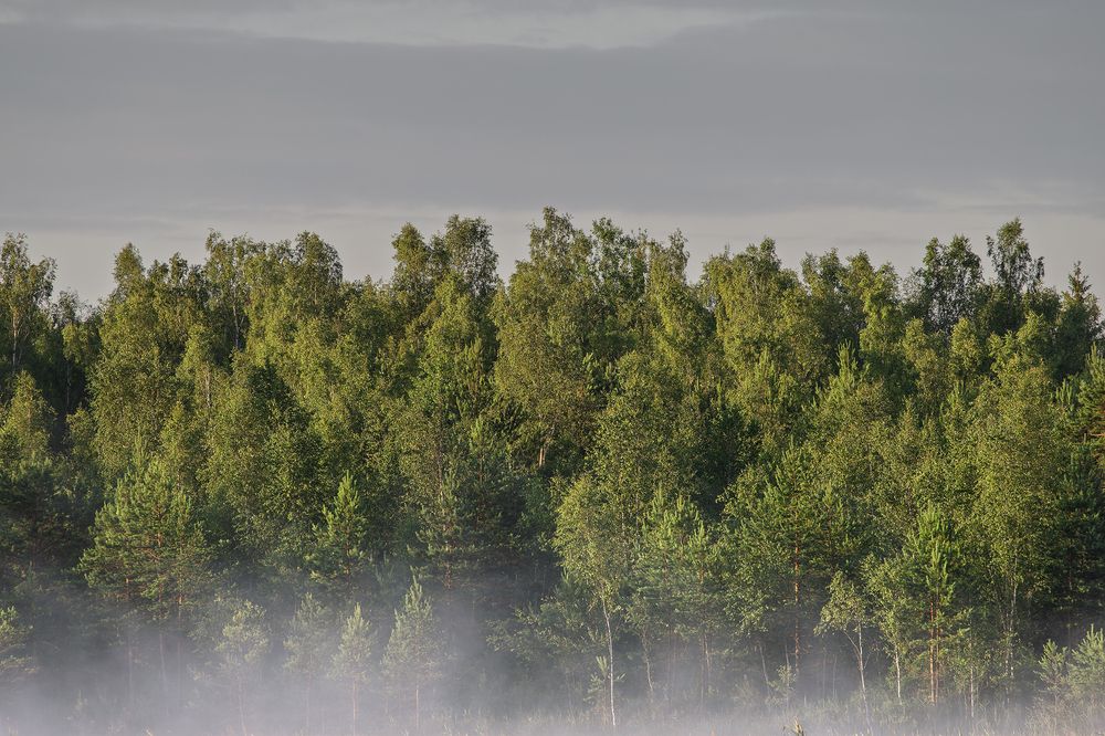 Photo 2883543