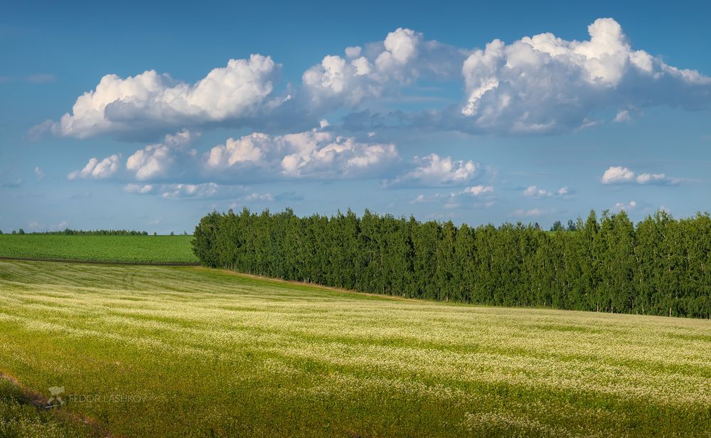 Облачное лето