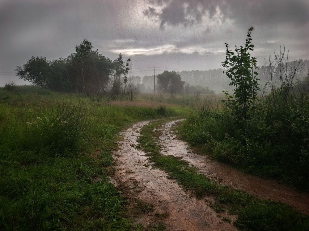 Photo 2885532