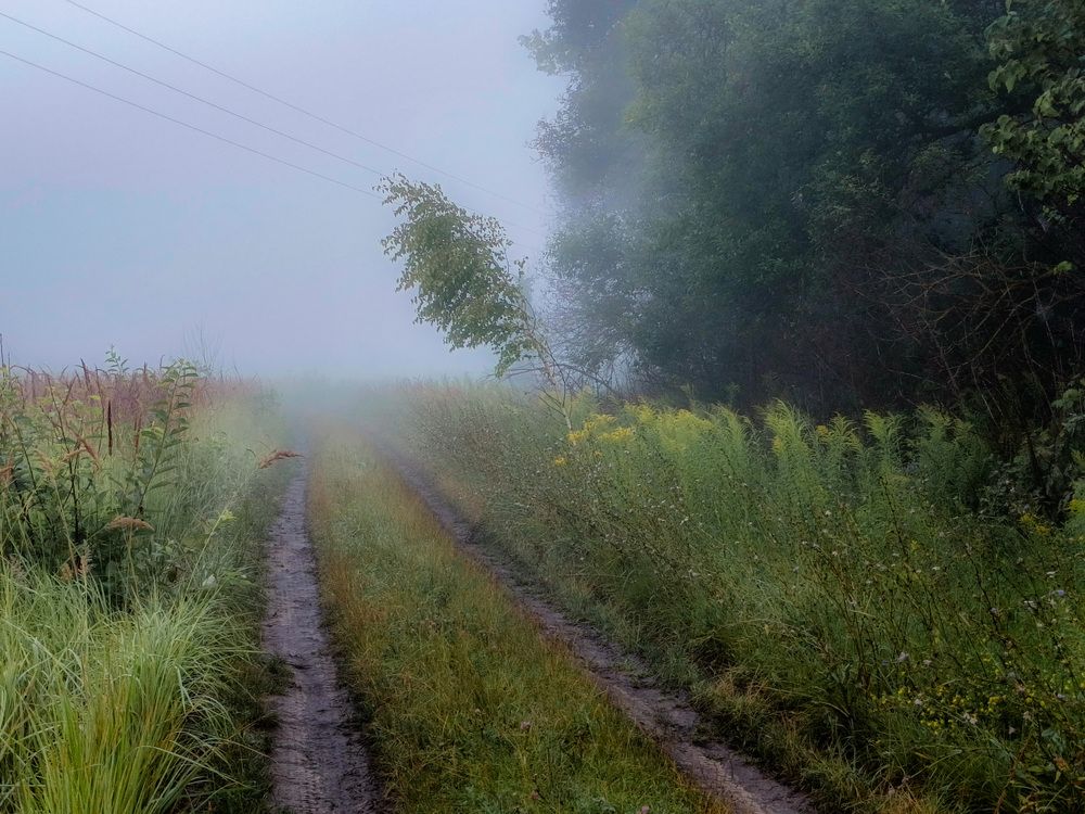 Photo 2886427